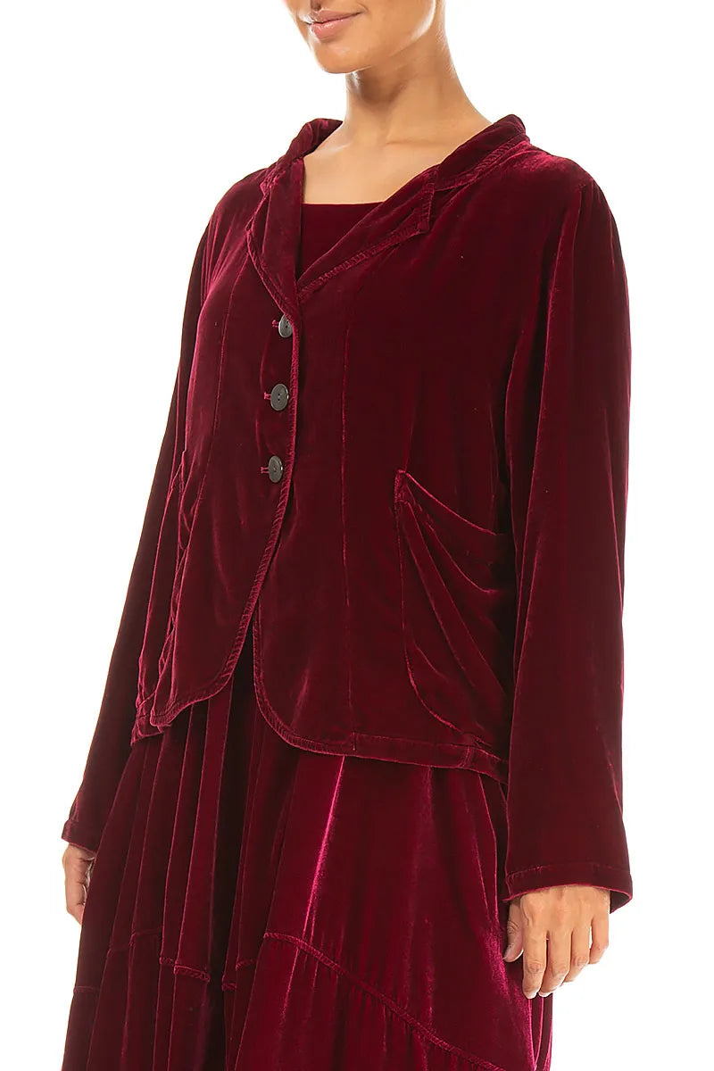 Buttoned Ruby Silk Velvet Jacket 3
