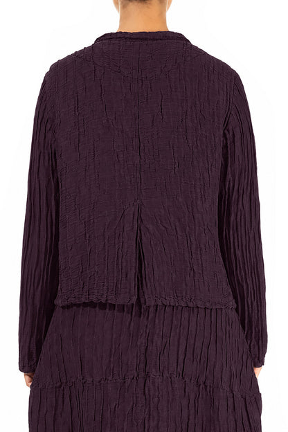 Short Crinkled Deep Plum Silk Linen Jacket