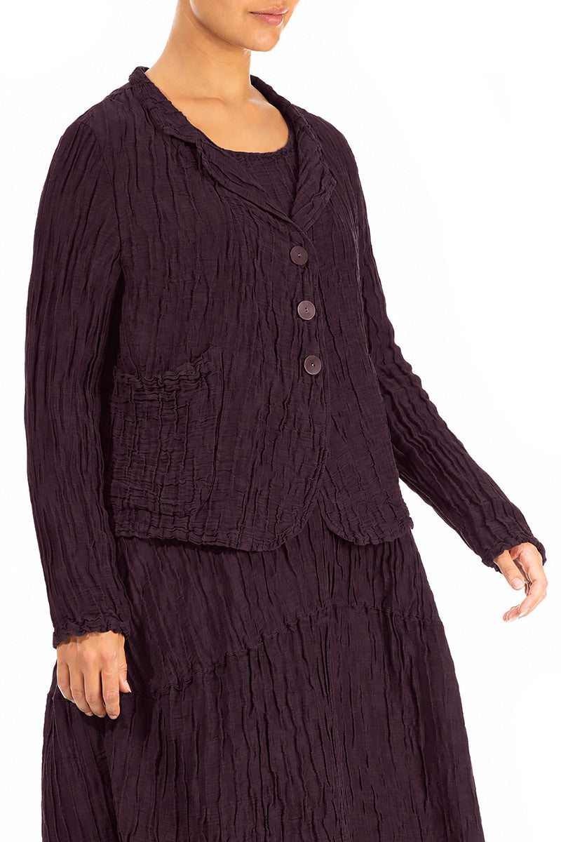 Short Crinkled Deep Plum Silk Linen Jacket 3